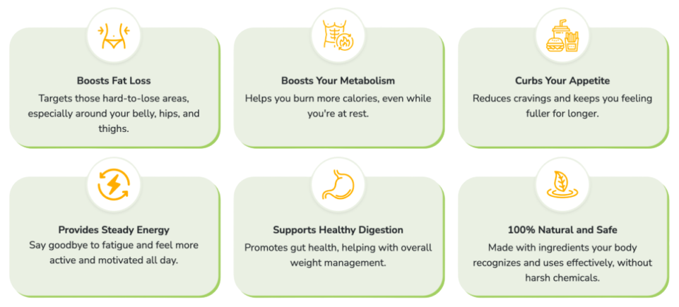 Lipozem keto-based weight loss supplement promoting natural and sustainable fat loss through metabolism boost, digestion improvement, and appetite control.